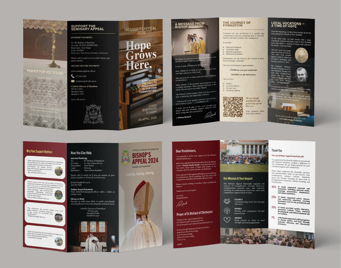 CDH Pamphlet design